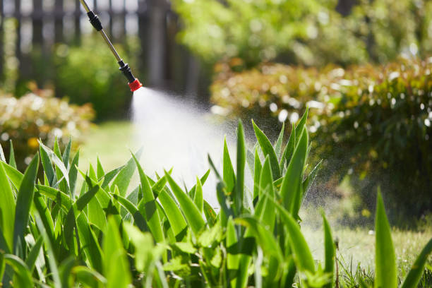 Tamper-Resistant Bait Stations for Rodents in La Mesa