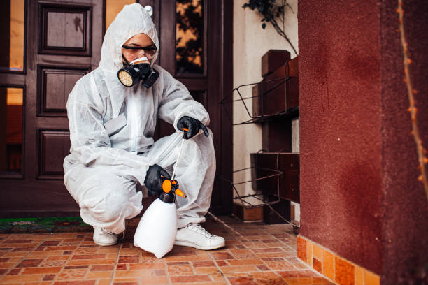 Attic and Crawl Space Rodent Treatment in La Mesa